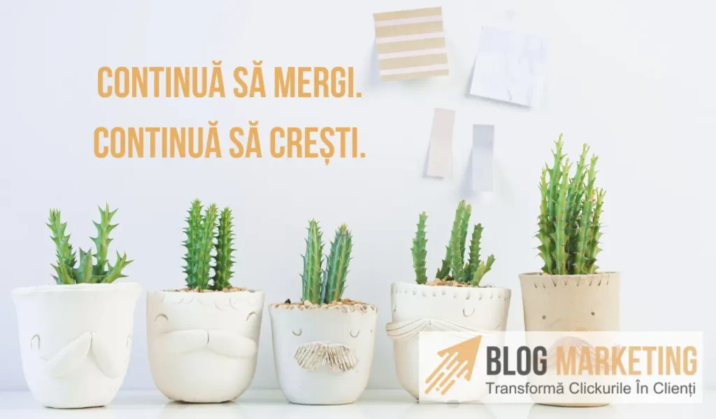 citate motivationale afaceri