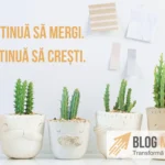 citate motivationale afaceri