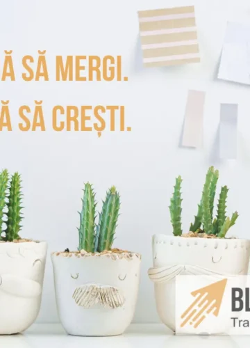 citate motivationale afaceri